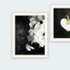 Trendy Decor 4U "Botanical Flowers" Framed Wall Art for Living Room, Wall Art Print for Home Decor, Bedroom Wall Art by Bluebird Barn